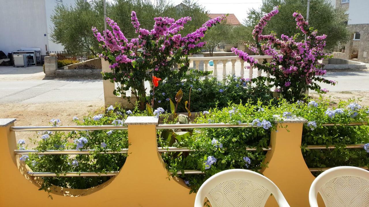 Marina Apartment Biograd Na Moru Luaran gambar